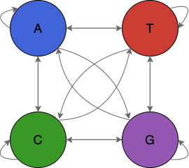 BioMarkovChains